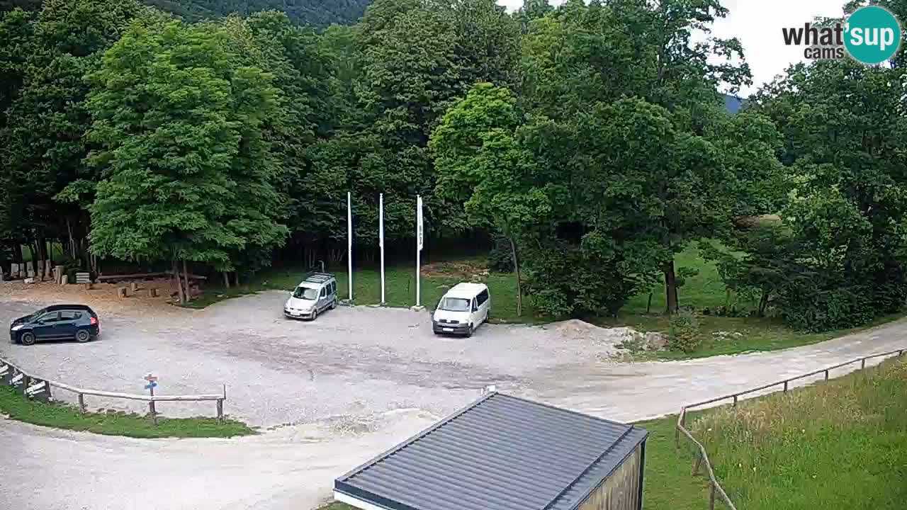 Camera en vivo Kočevje – MTB trail center – Eslovenia