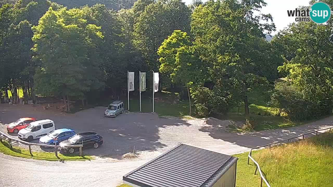 Webcam en direct Kočevje – Centre de trail VTT – Slovénie