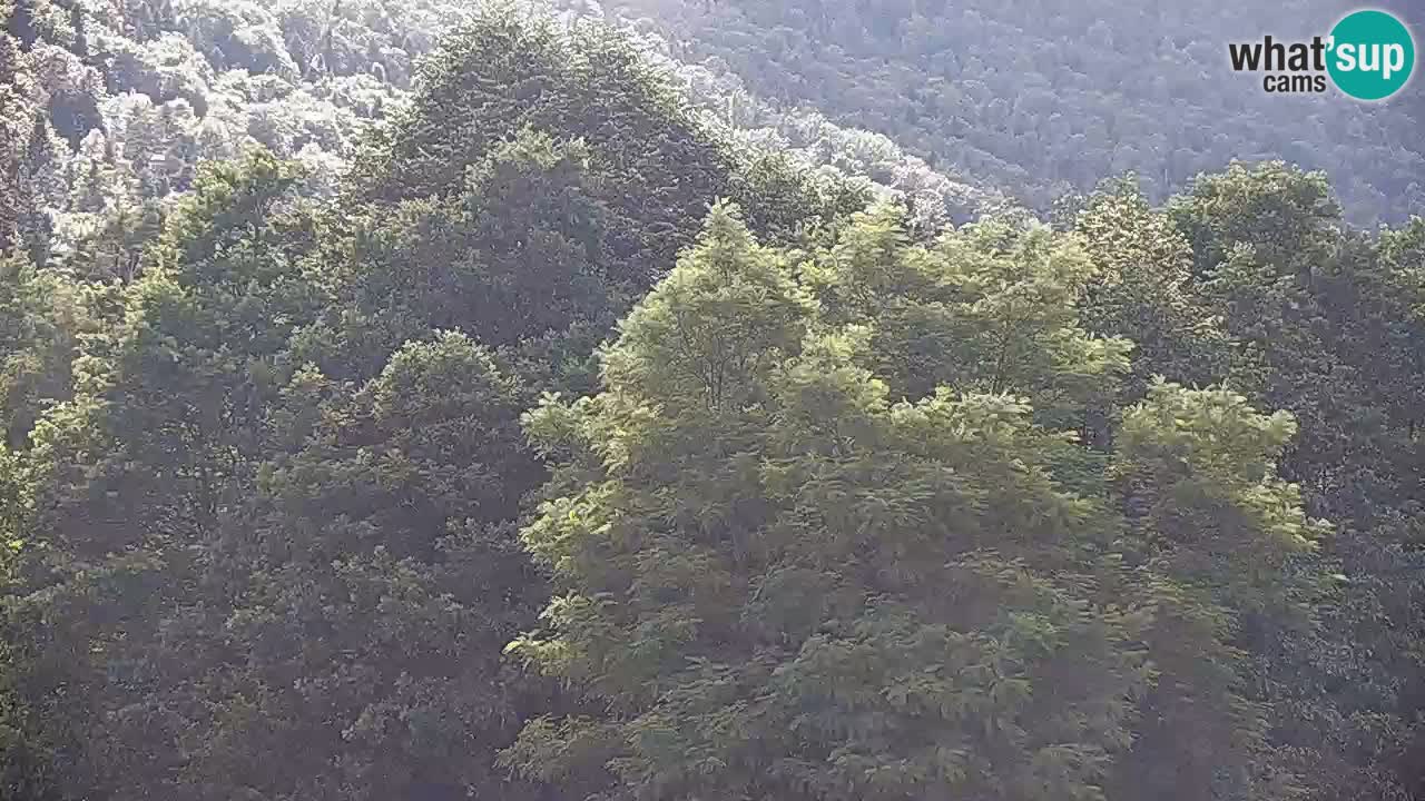 Web kamera Kočevje – MTB trail center – Slovenija