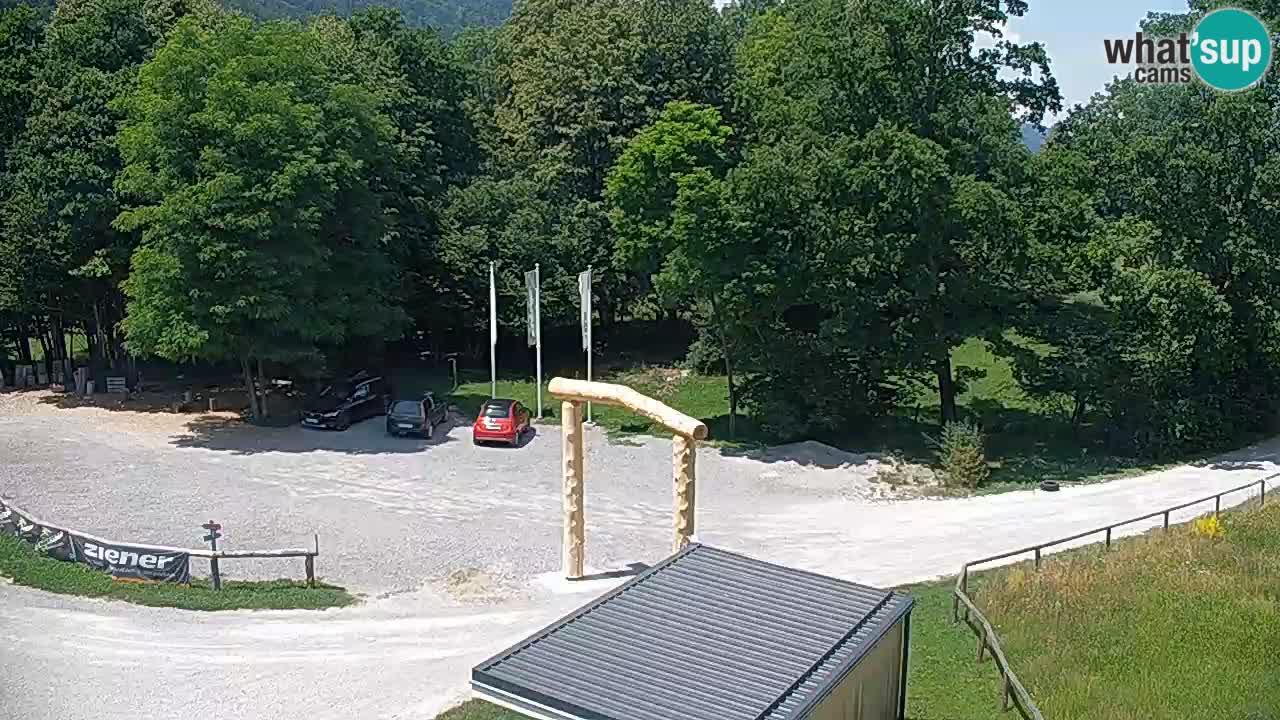 Spletna kamera Kočevje – MTB trail center v živo
