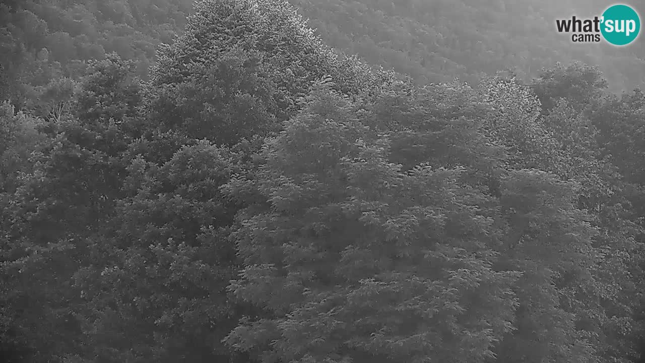 Kočevje Live webcam – MTB trail center – Slowenien