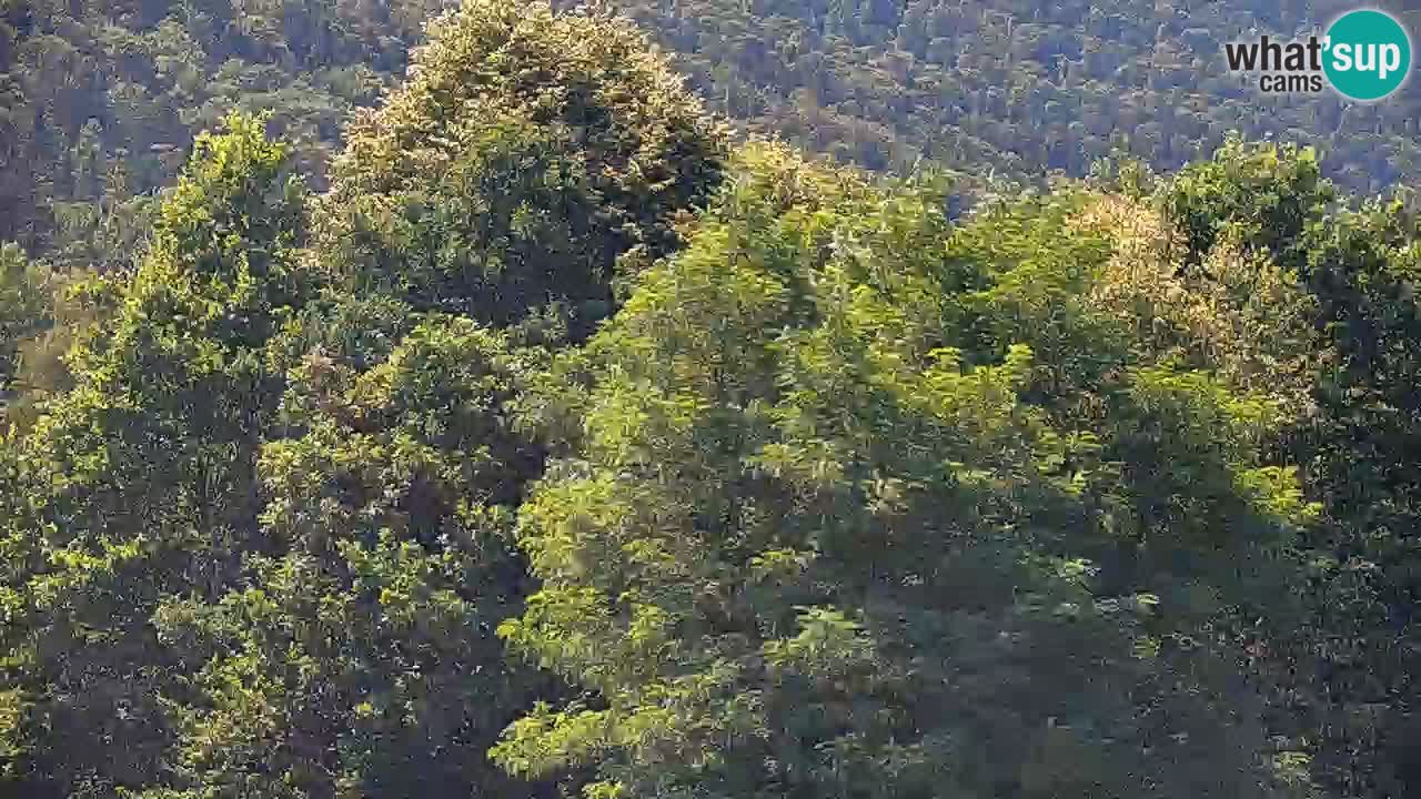 Live webcam Kočevje – MTB trail center – Slovenia