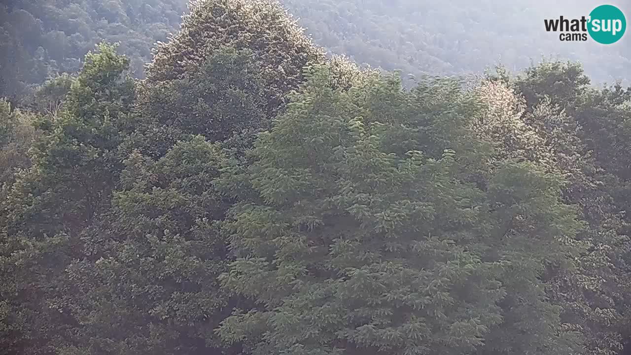 Kočevje Live webcam – MTB trail center – Slowenien
