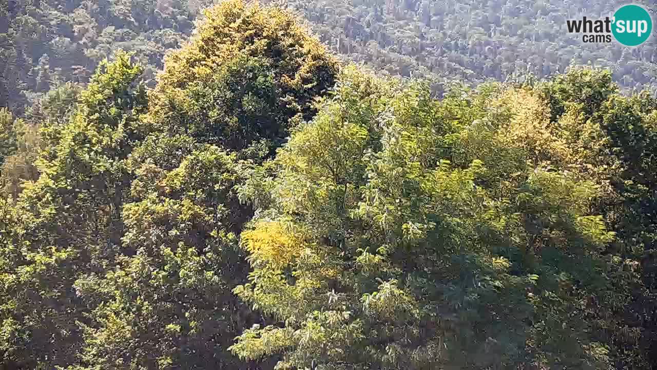 Webcam en direct Kočevje – Centre de trail VTT – Slovénie