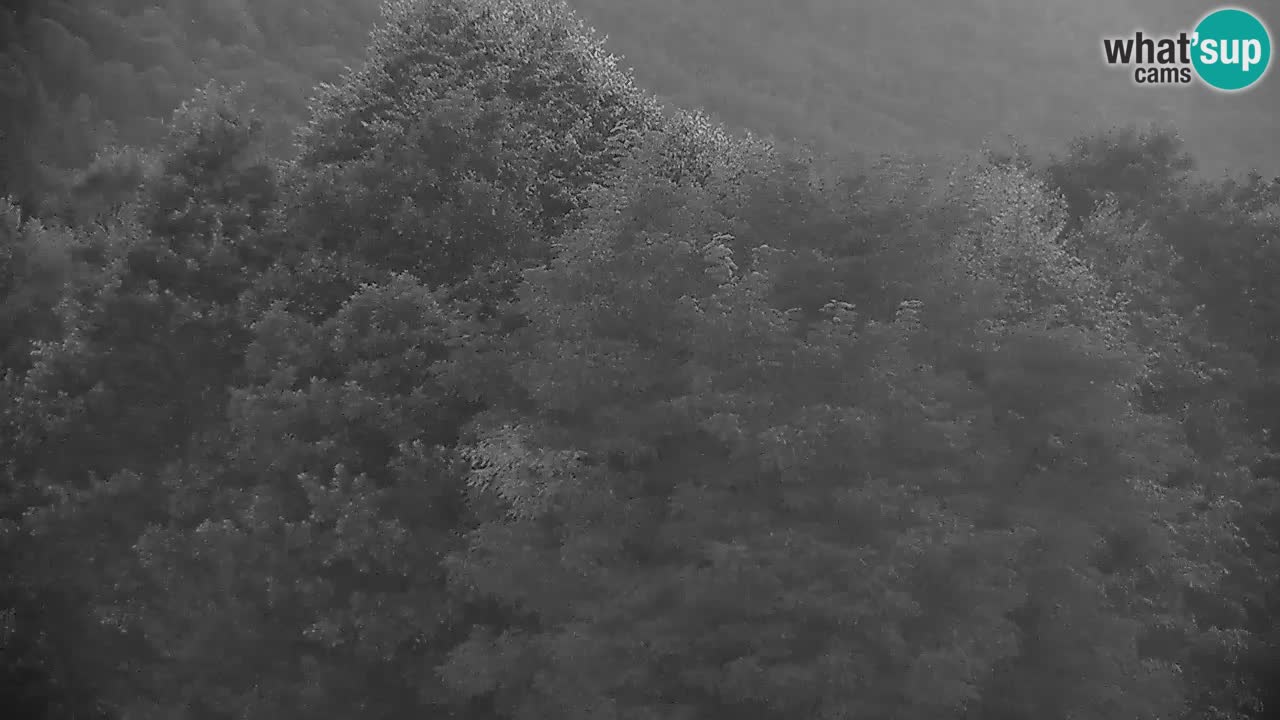 Live webcam Kočevje – MTB trail center – Slovenia