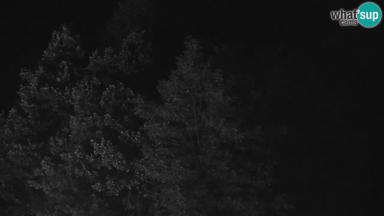 Live webcam Kočevje – MTB trail center – Slovenia