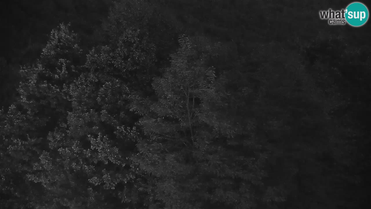 Webcam Kočevje – centro allenamento e svago MTB trail center – Slovenia