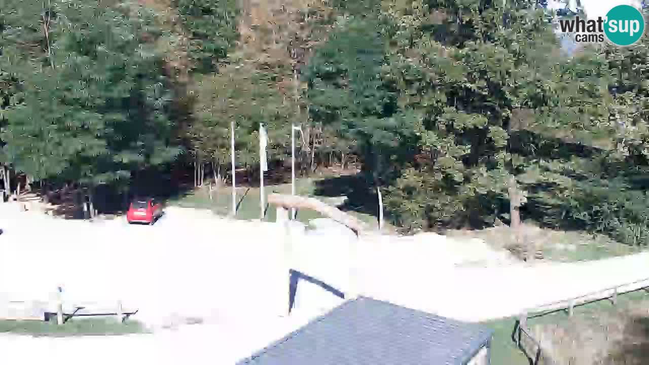 Webcam Kočevje – centro allenamento e svago MTB trail center – Slovenia