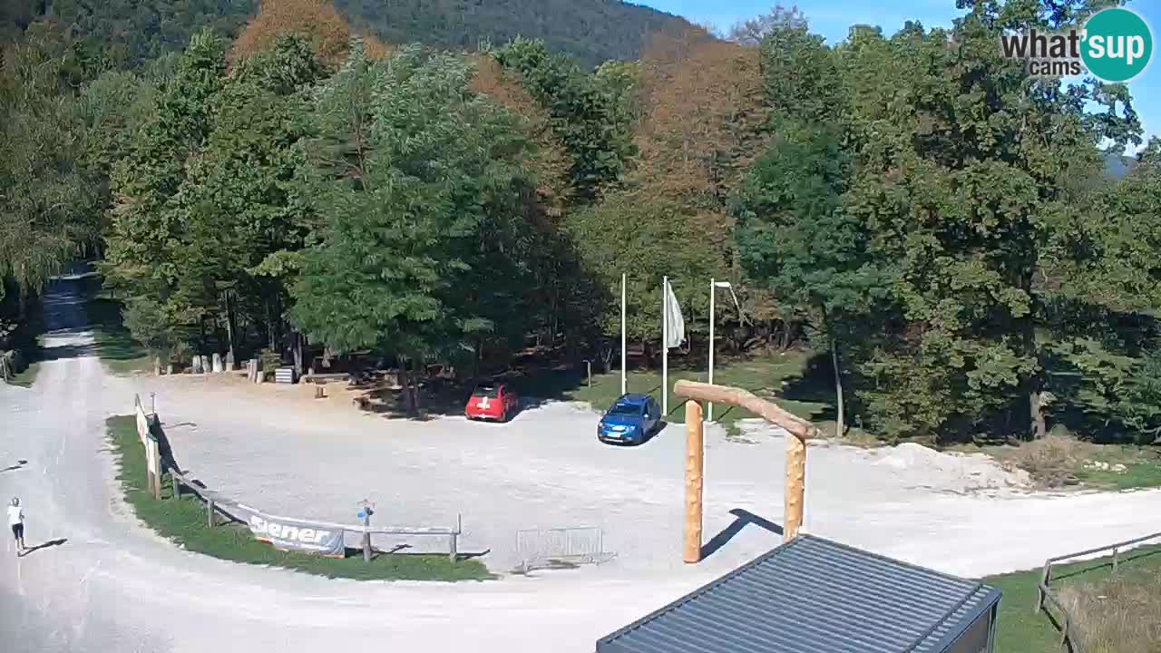 Spletna kamera Kočevje – MTB trail center v živo