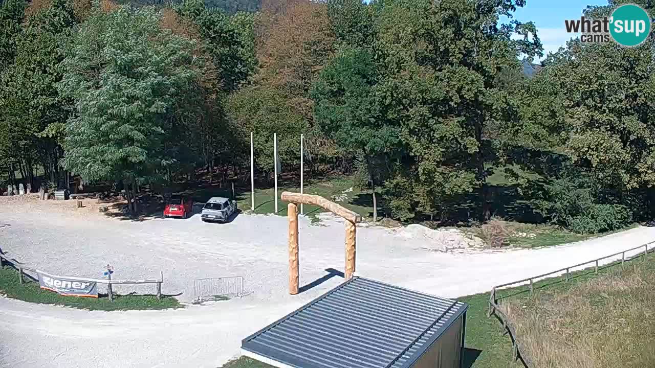 Spletna kamera Kočevje – MTB trail center v živo