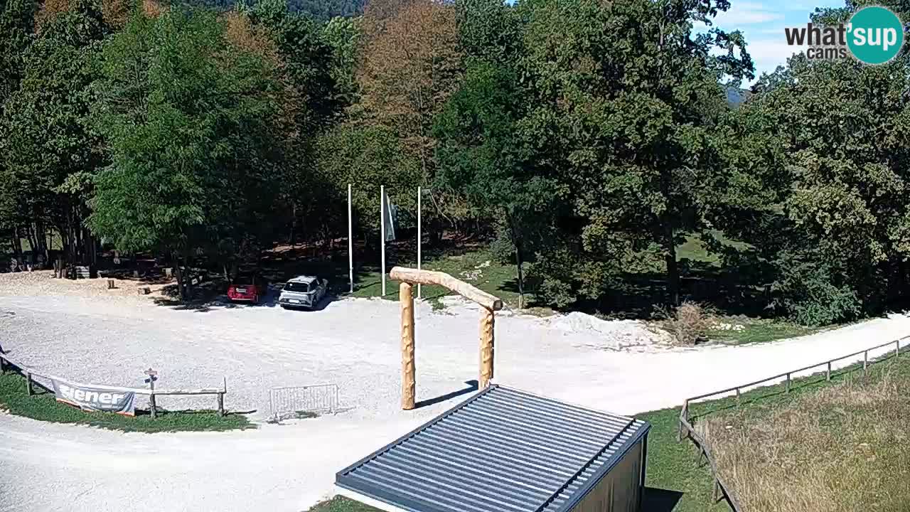 Spletna kamera Kočevje – MTB trail center v živo