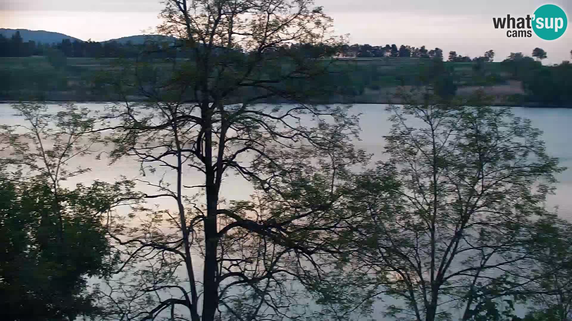 Web kamera Kočevje jezero – Slovenija