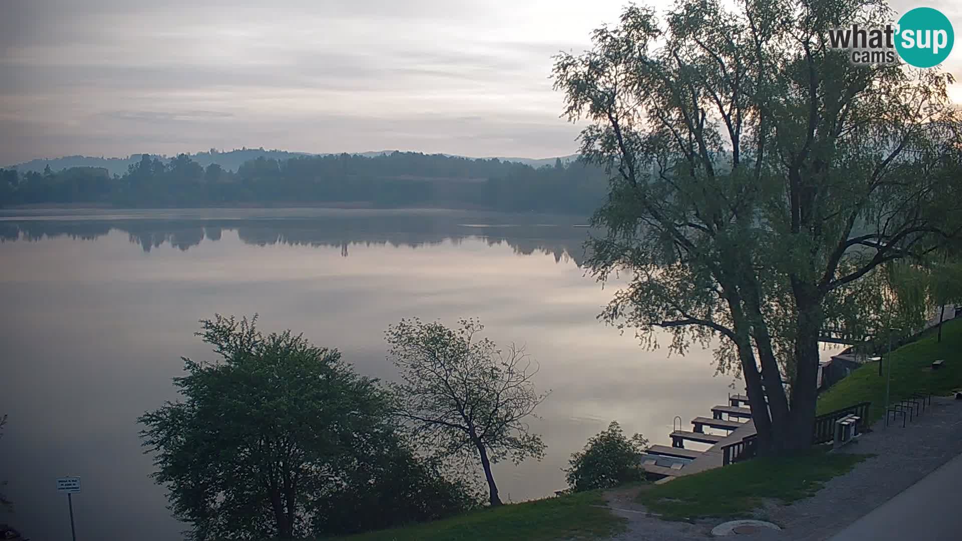 Live Webcam lago di Kočevje – Slovenia