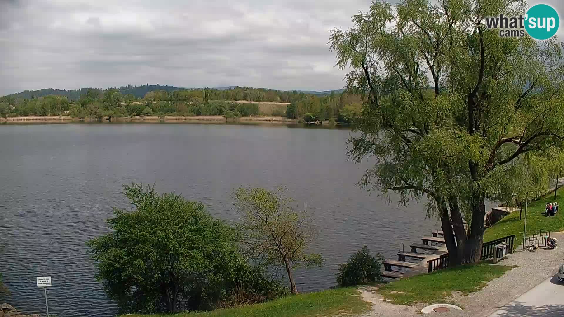 Live Webcam Kočevje lake