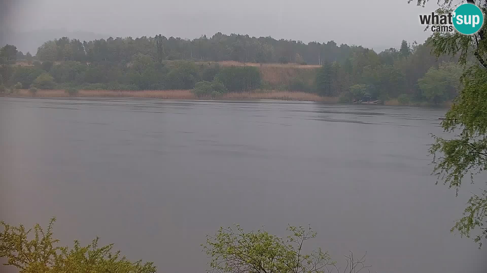 Camera en vivo Lago Kočevje