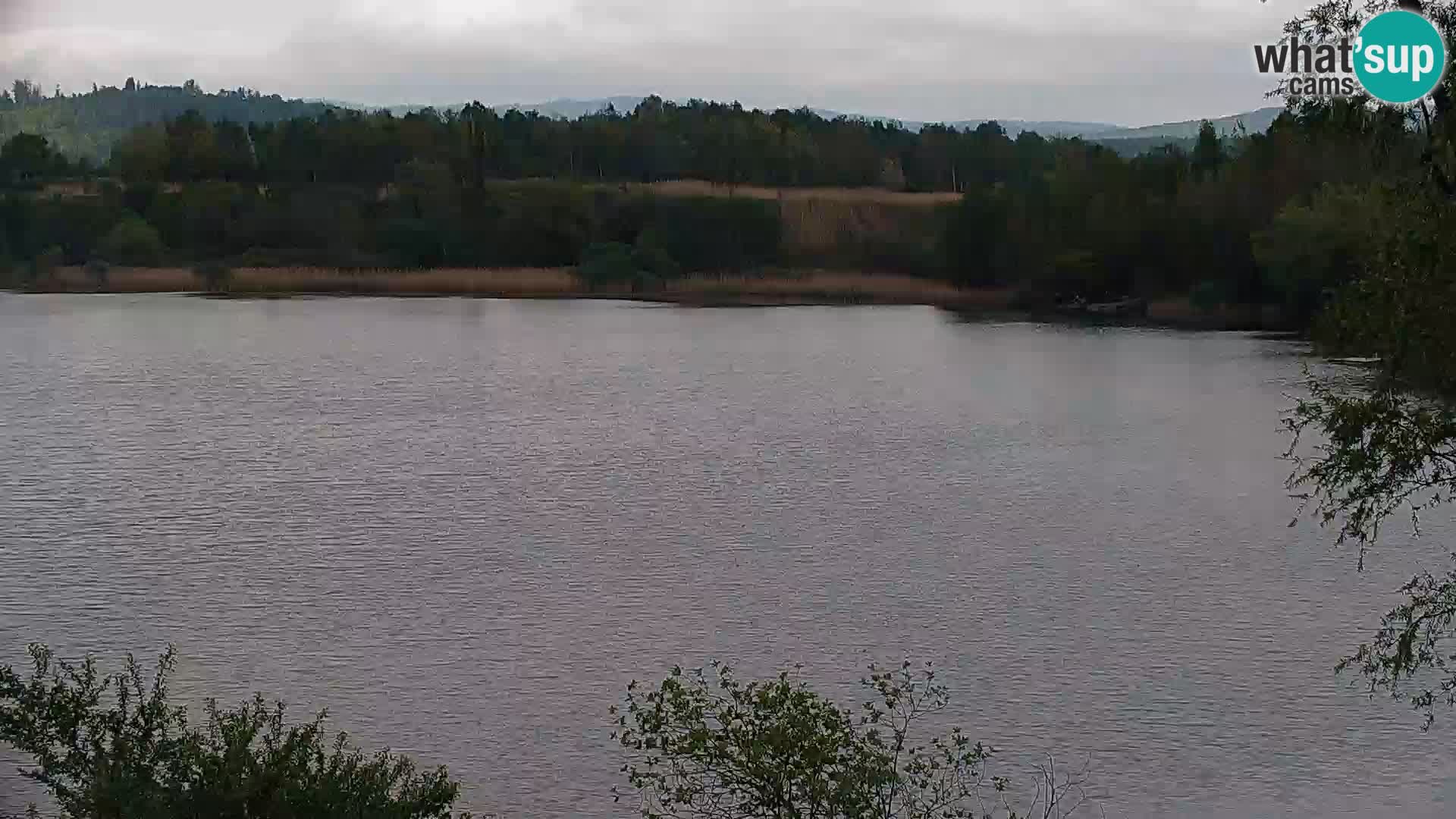 Kamera v živo Kočevsko jezero