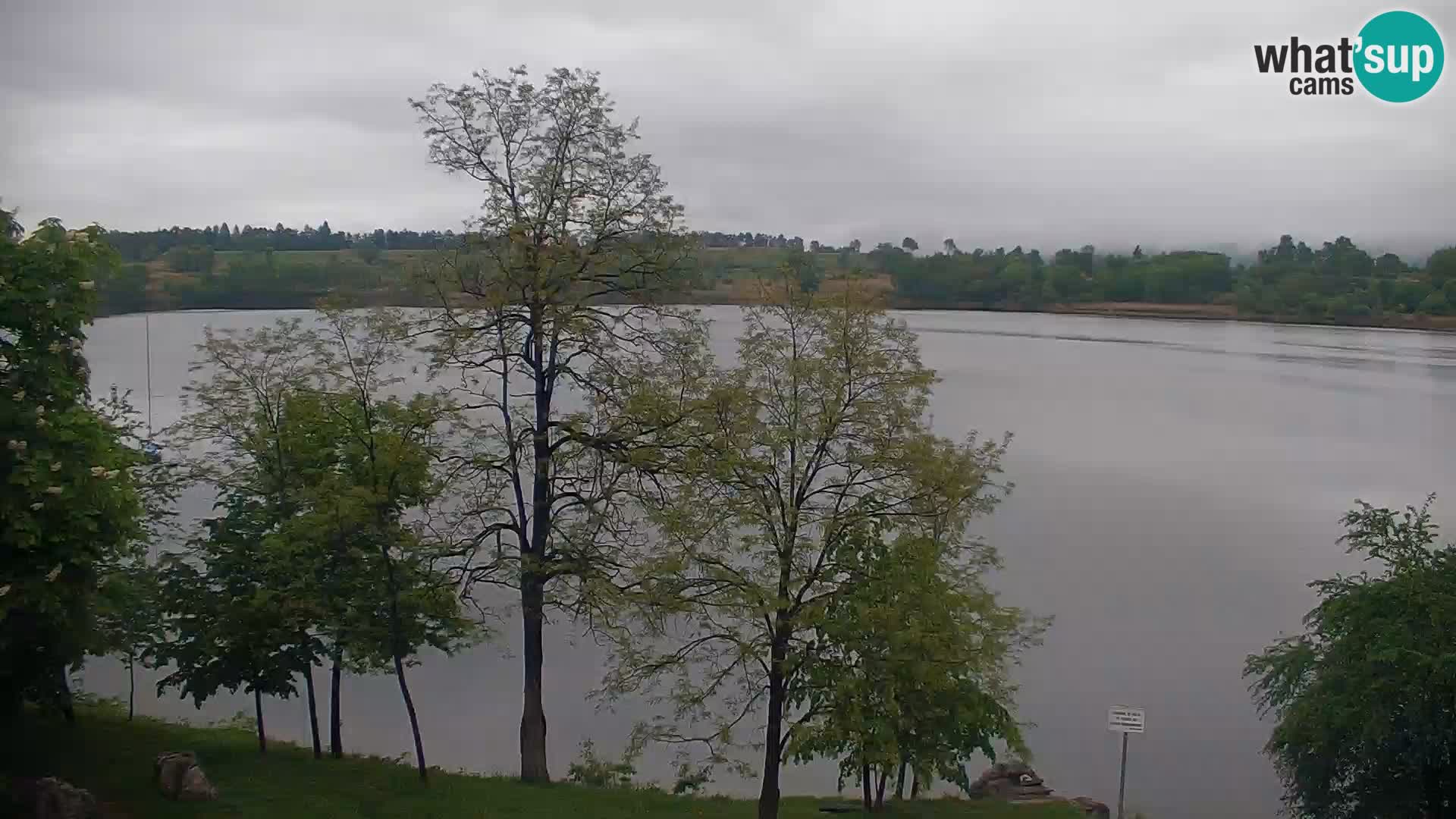 Live Webcam Kočevje lake