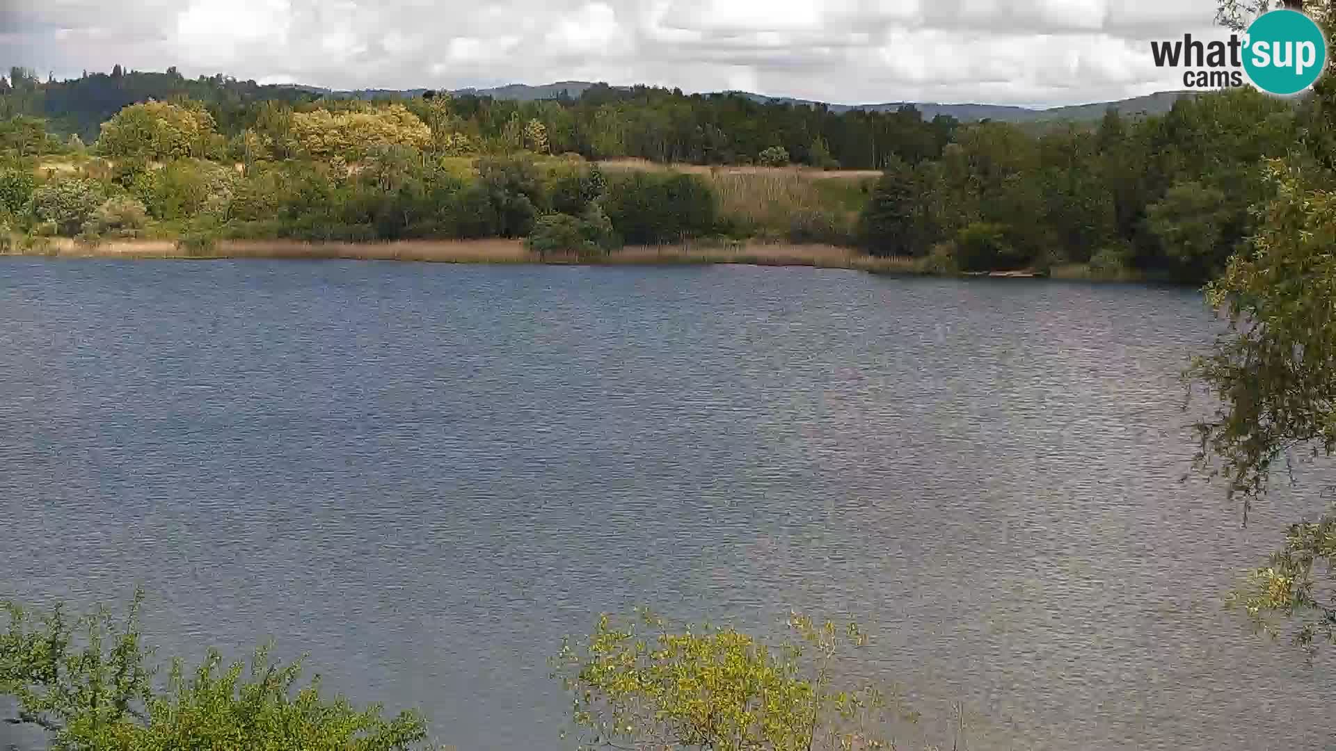 Live Webcam lago di Kočevje – Slovenia