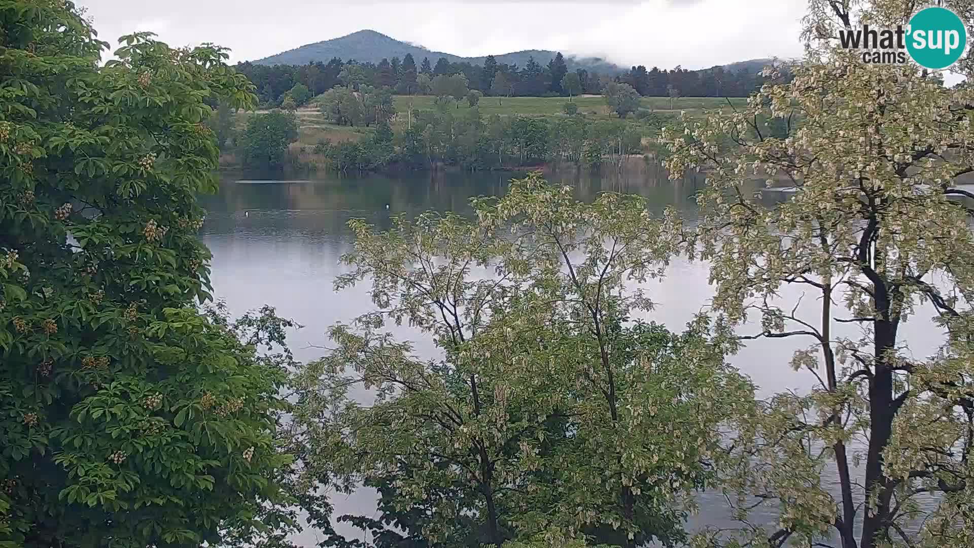 Livecam Lac Kočevje