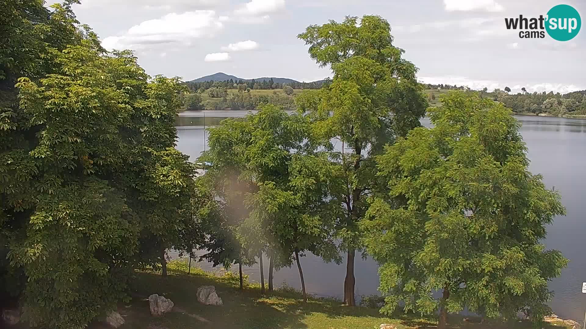 Camera en vivo Lago Kočevje
