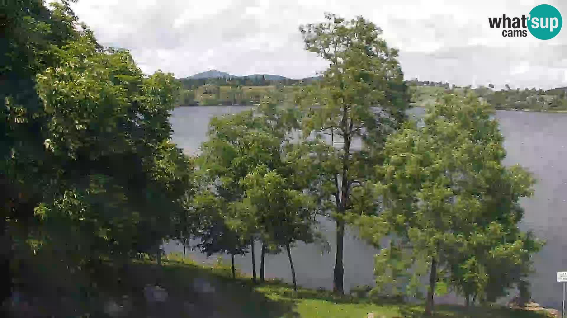 Kamera v živo Kočevsko jezero