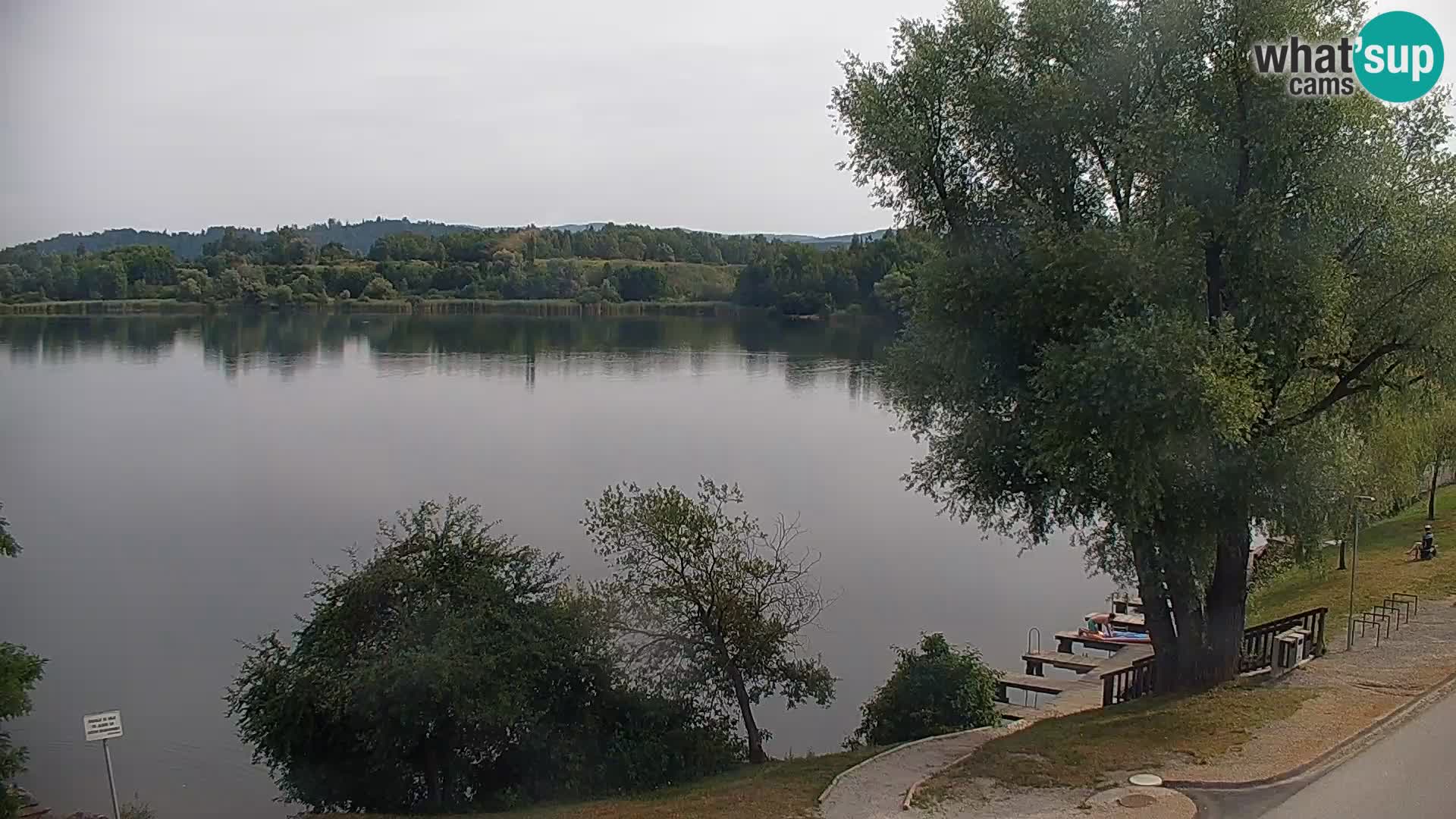 Live Webcam lago di Kočevje – Slovenia