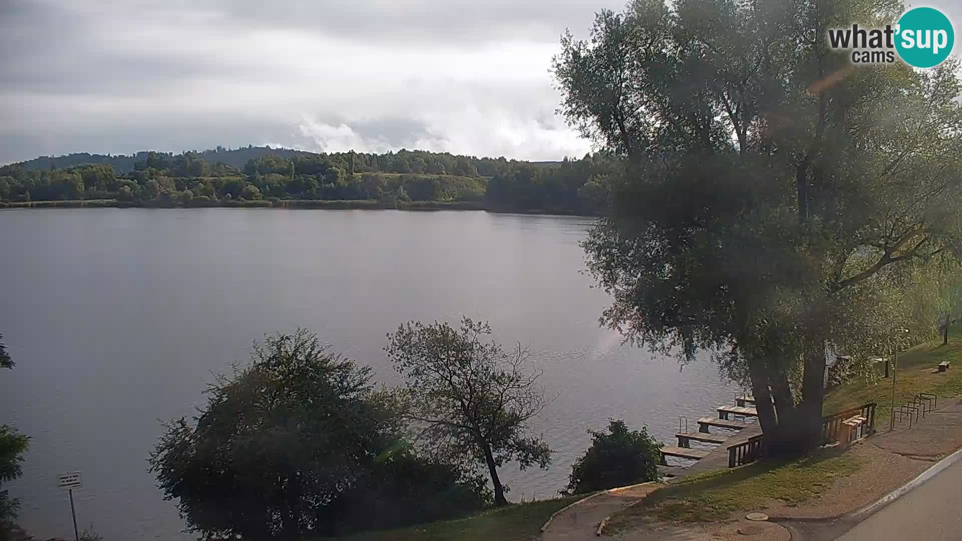 Live Webcam lago di Kočevje – Slovenia