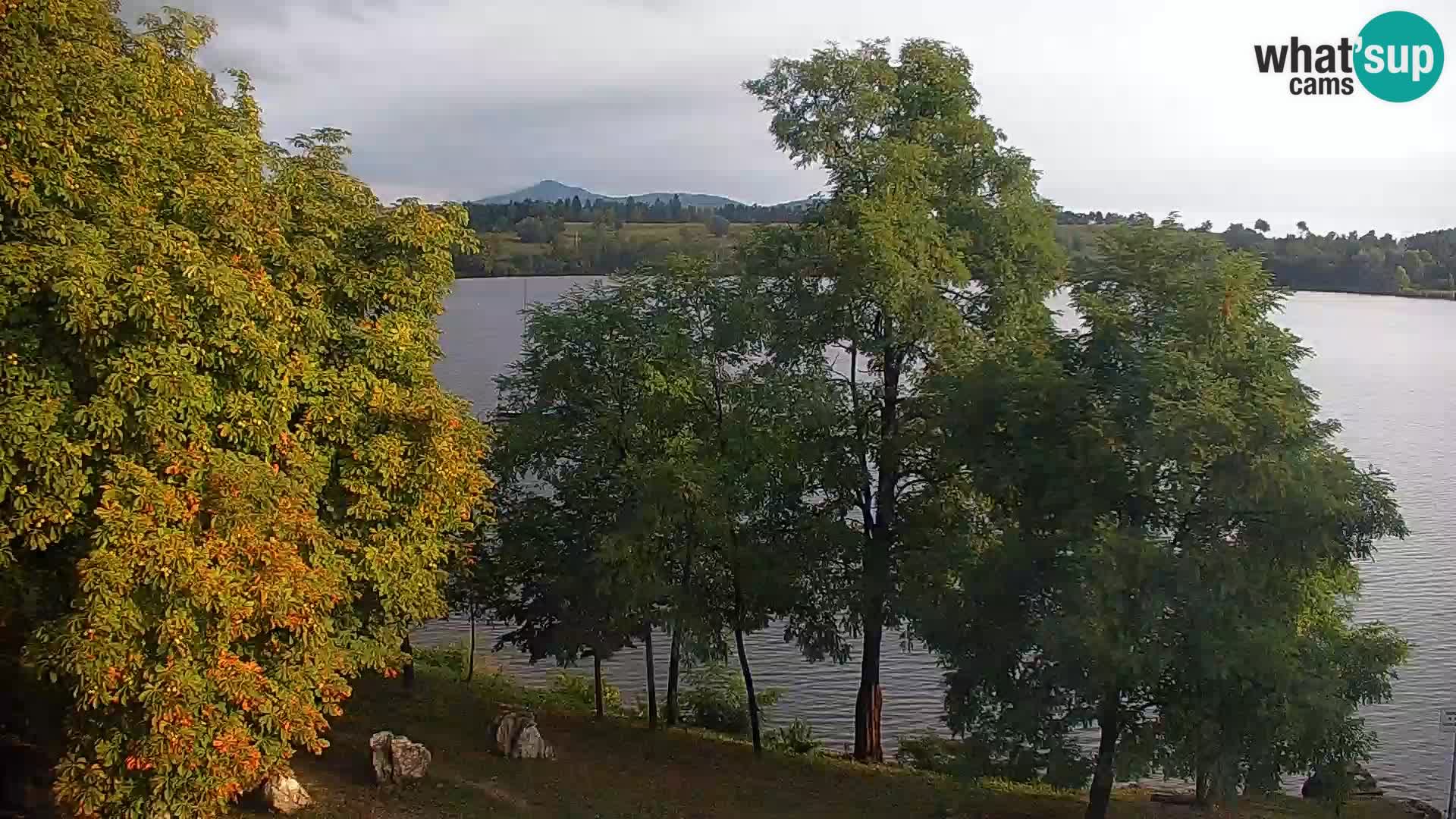 Live Webcam lago di Kočevje – Slovenia