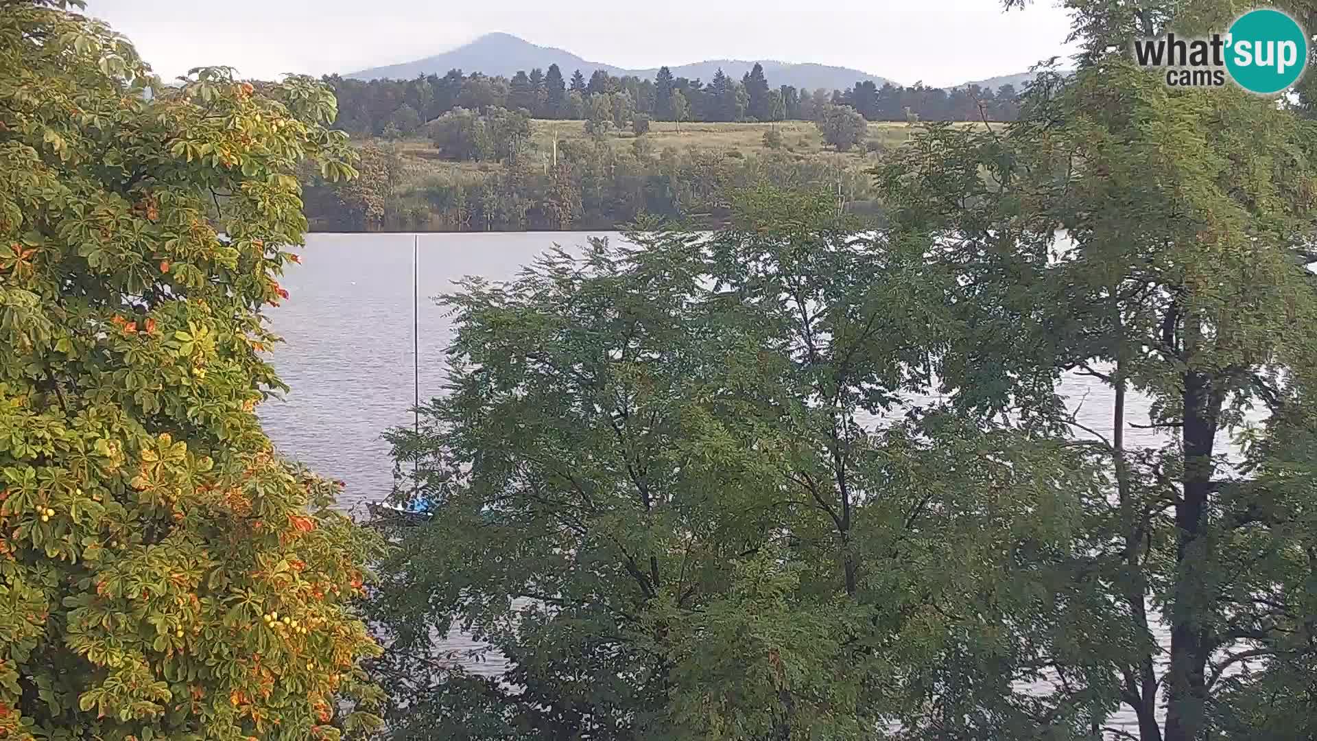 Live Webcam Kočevje lake