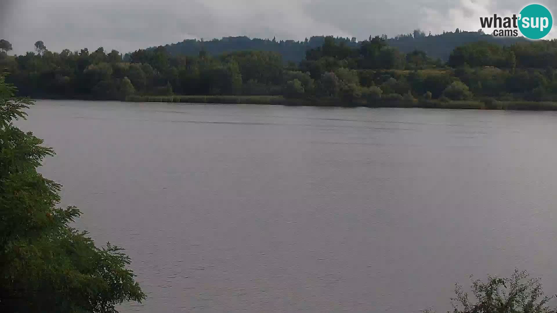 Live Webcam lago di Kočevje – Slovenia