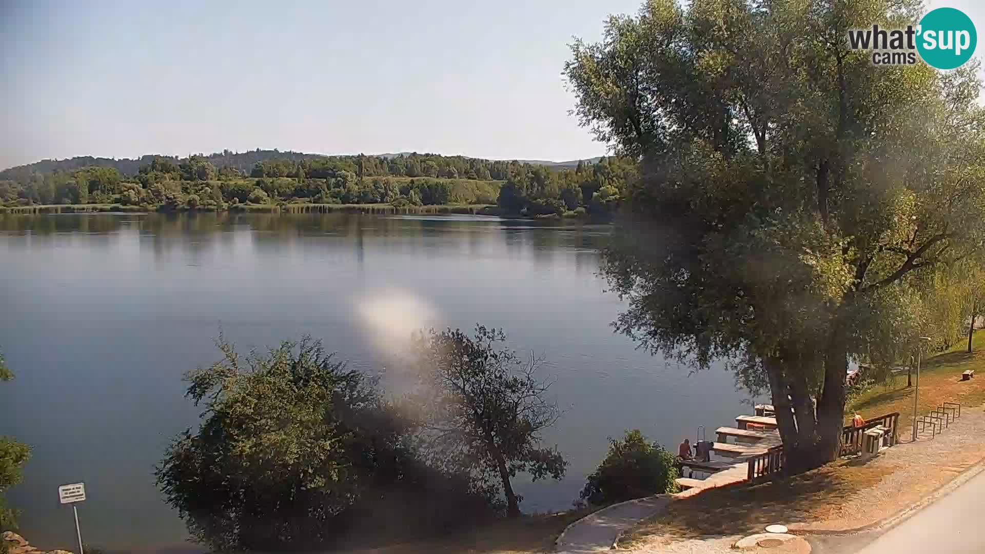 Livecam Lac Kočevje