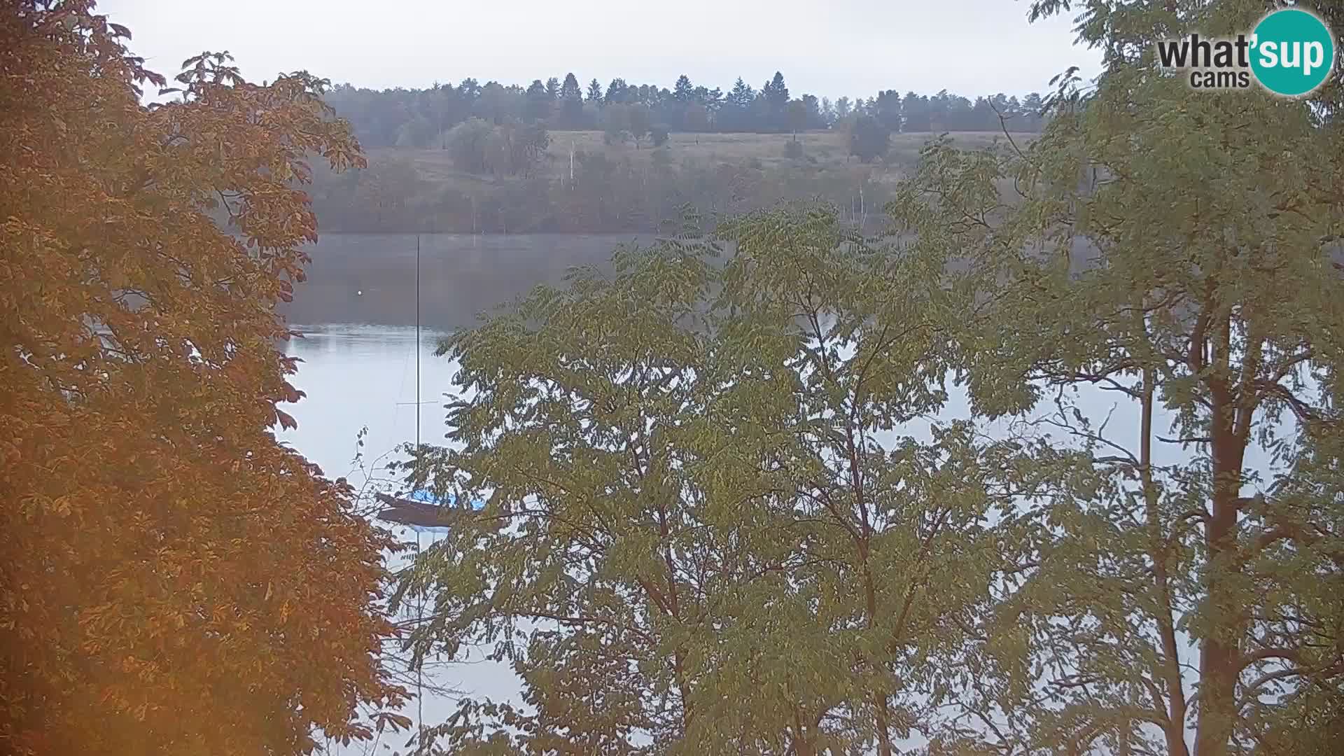 Camera en vivo Lago Kočevje