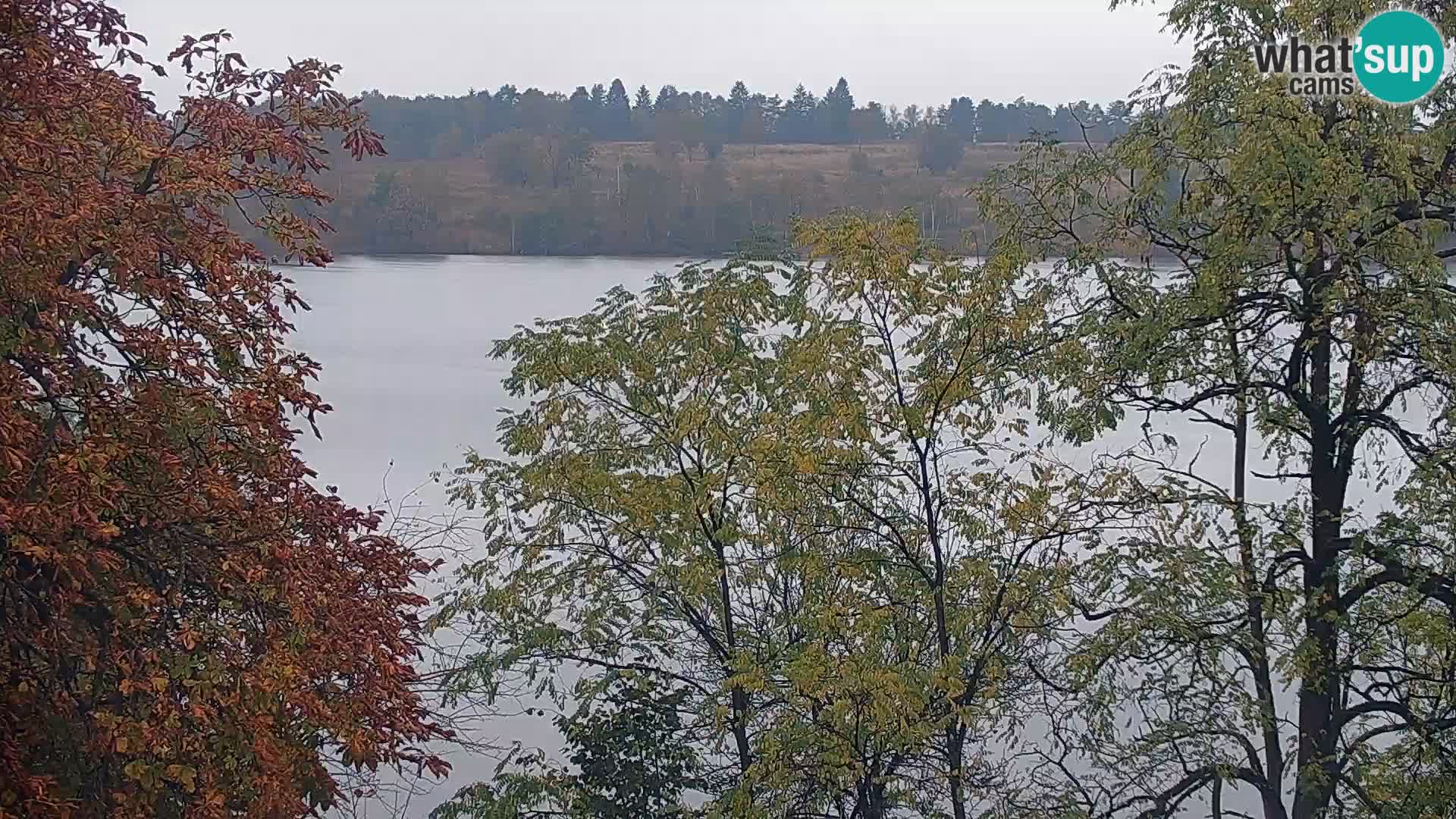 Live Webcam Kočevje lake