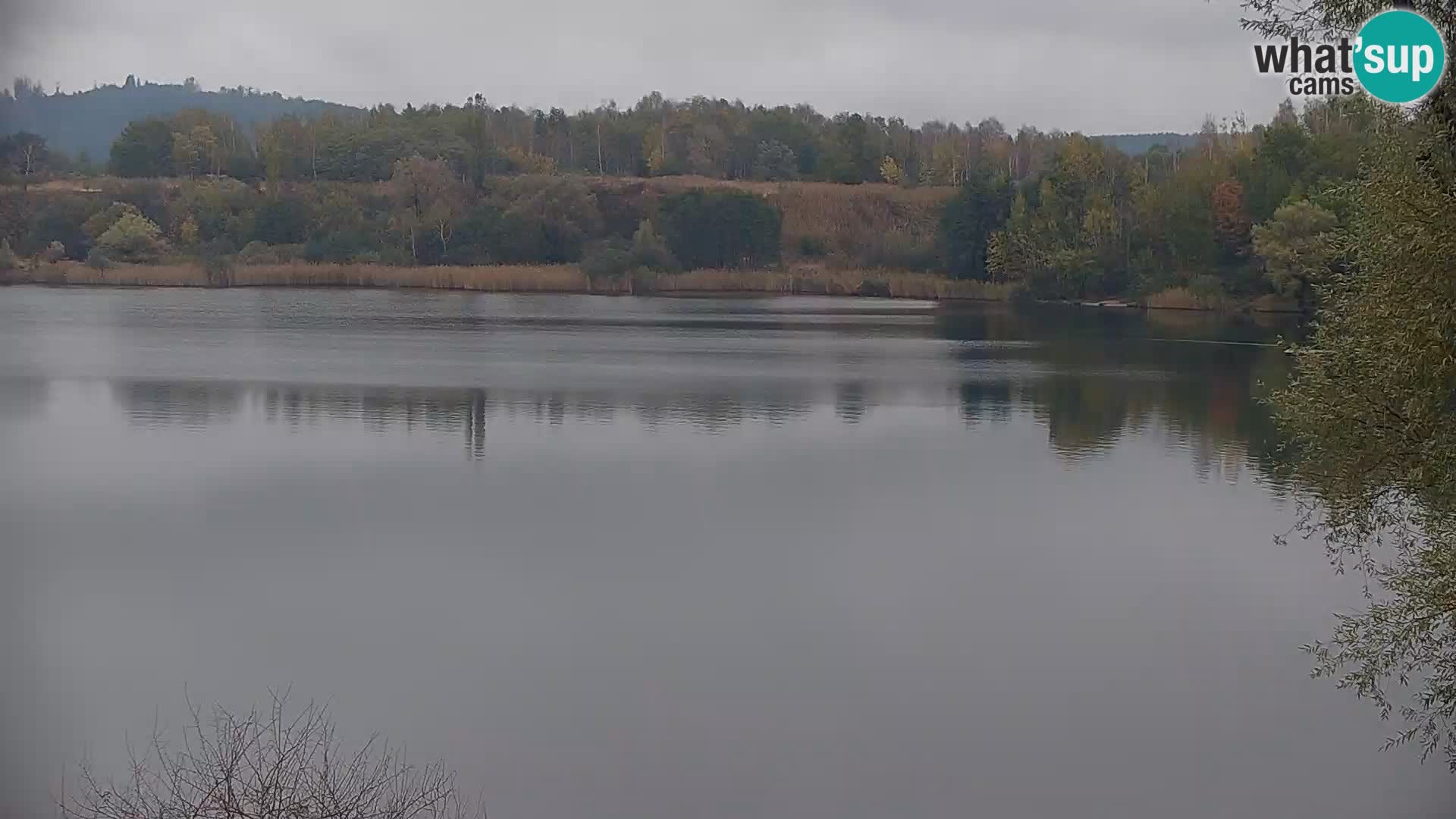 Live Webcam lago di Kočevje – Slovenia