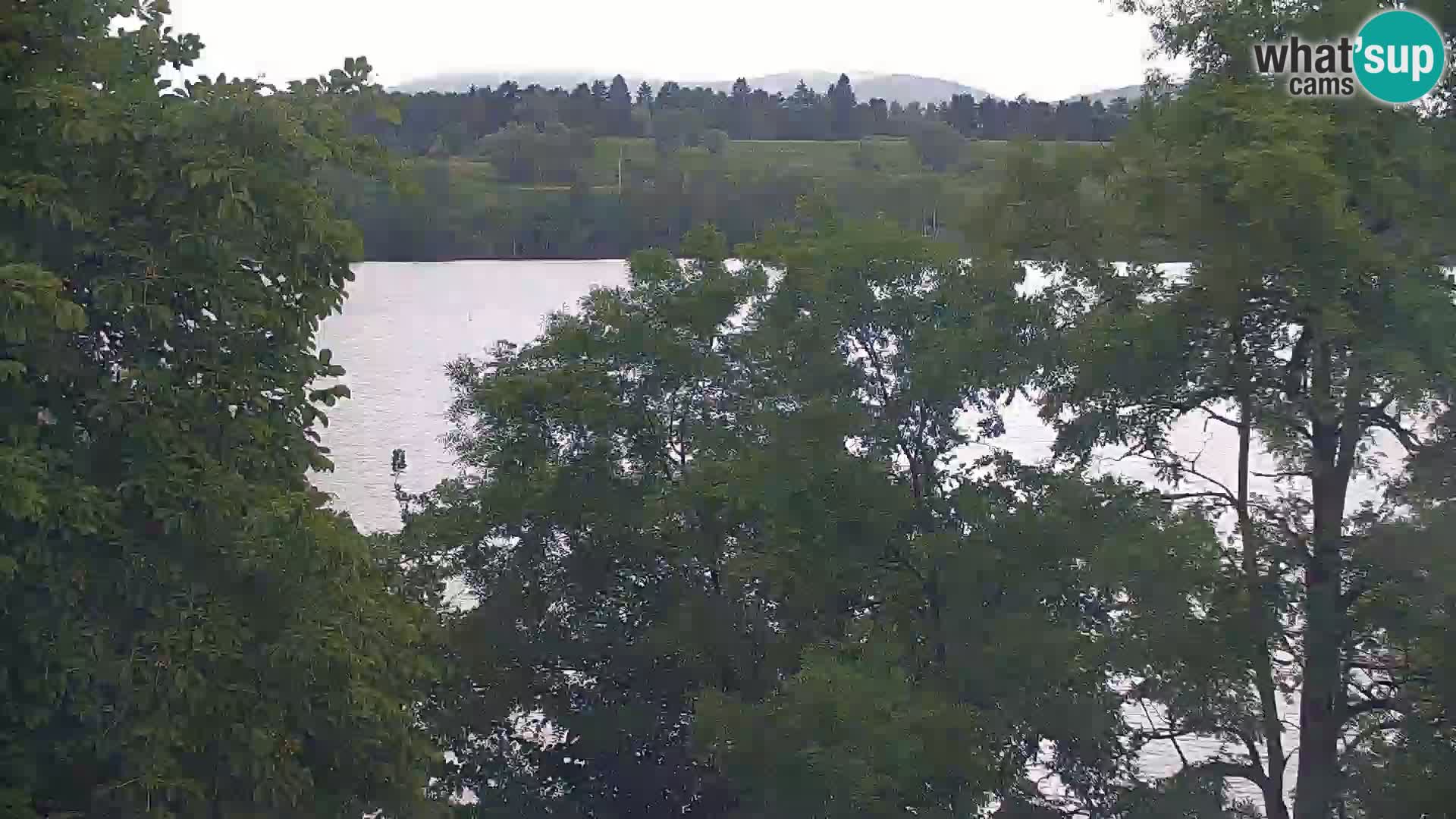 Live Webcam Kočevje lake