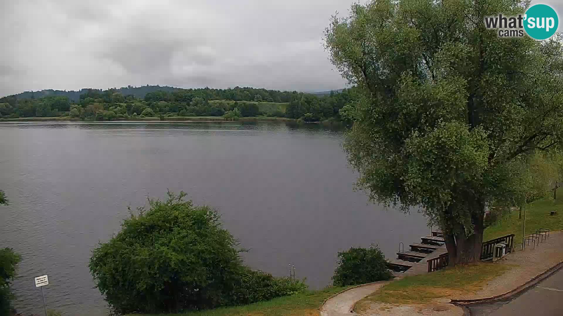 Live Webcam Kočevje lake