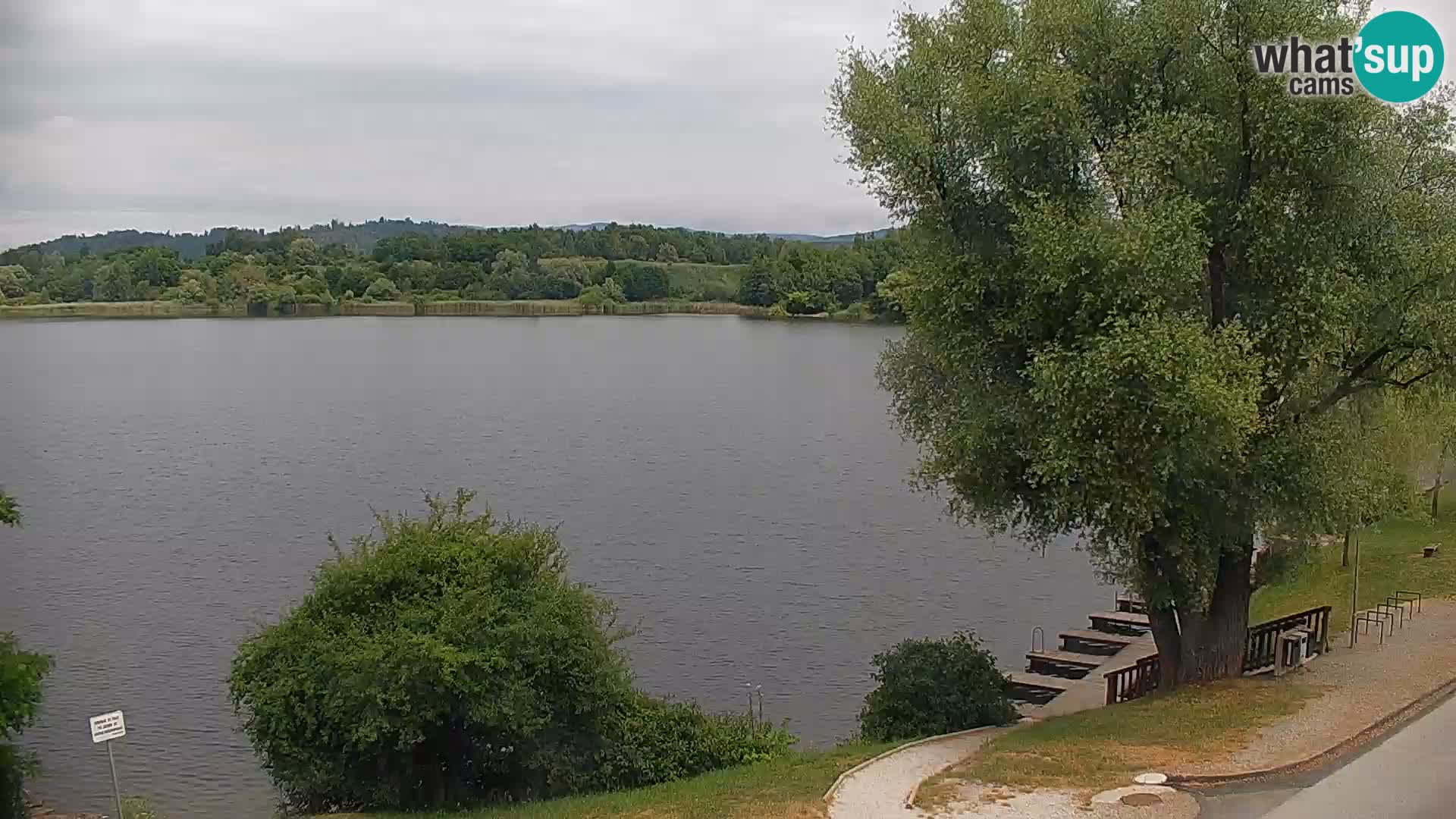 Camera en vivo Lago Kočevje