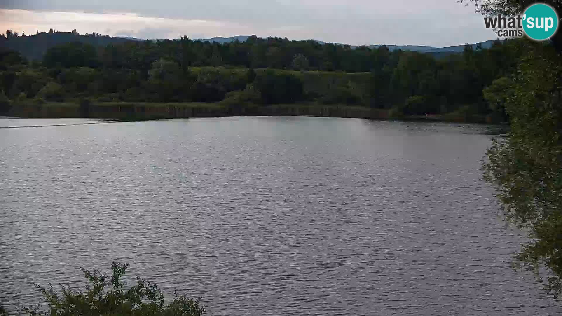 Kamera v živo Kočevsko jezero