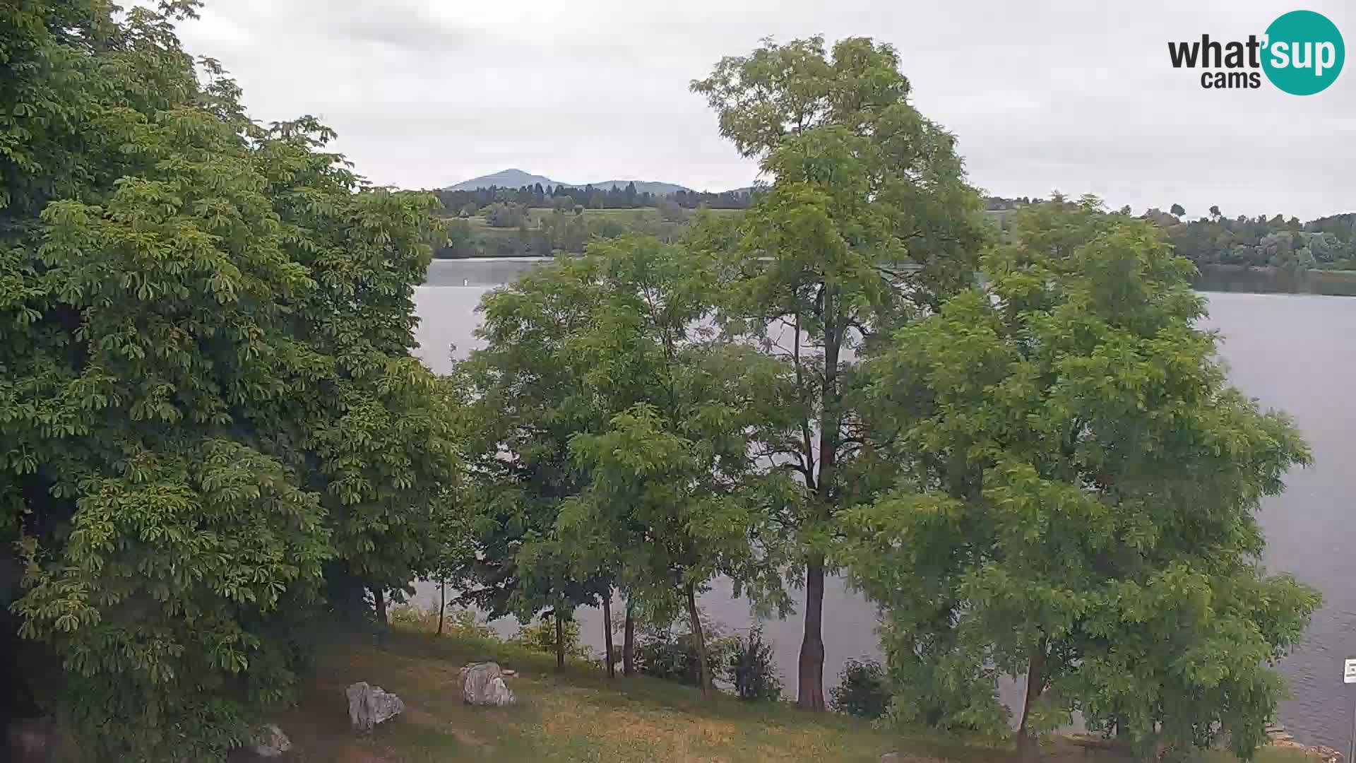 Kamera v živo Kočevsko jezero