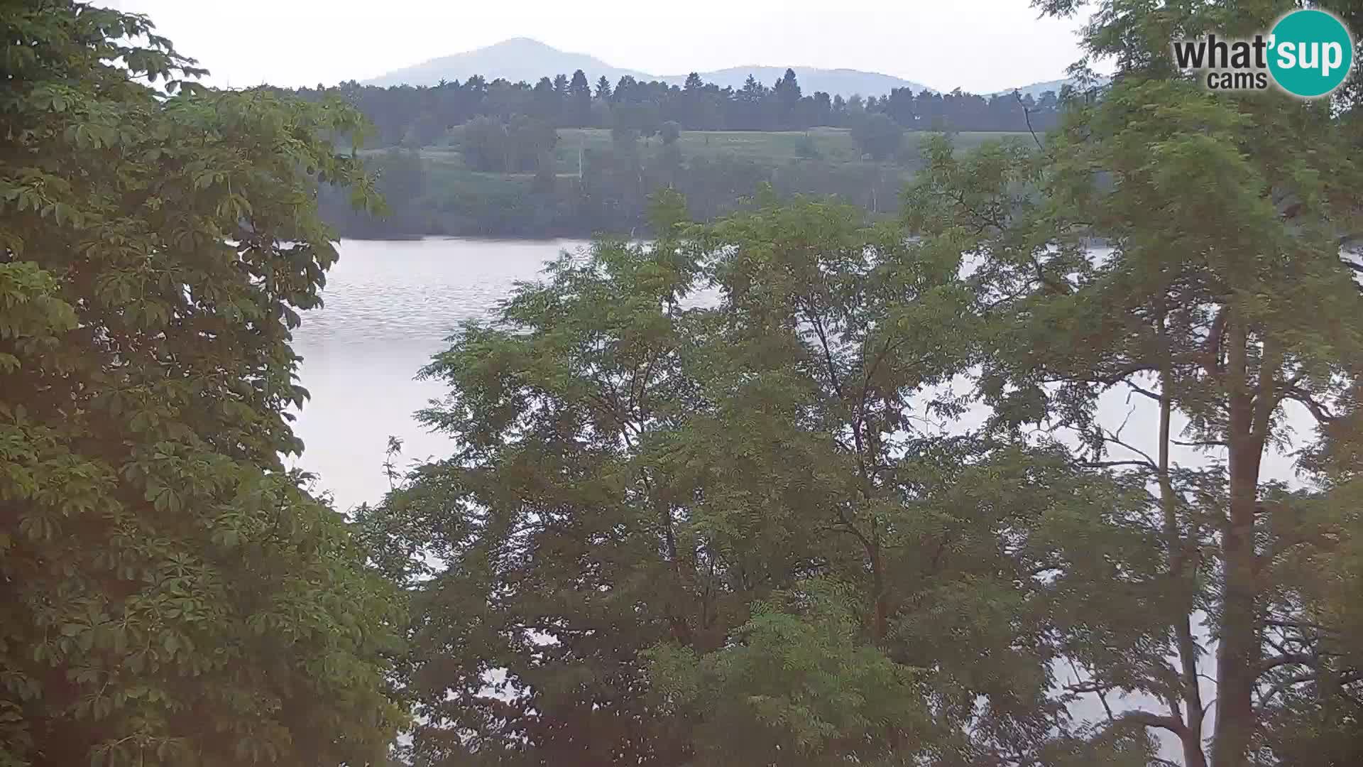 Camera en vivo Lago Kočevje