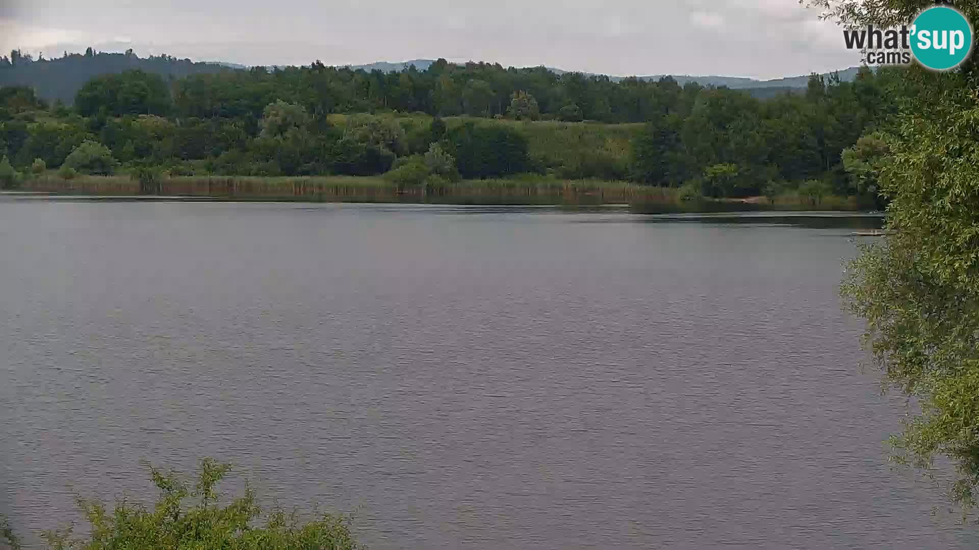 Kamera v živo Kočevsko jezero
