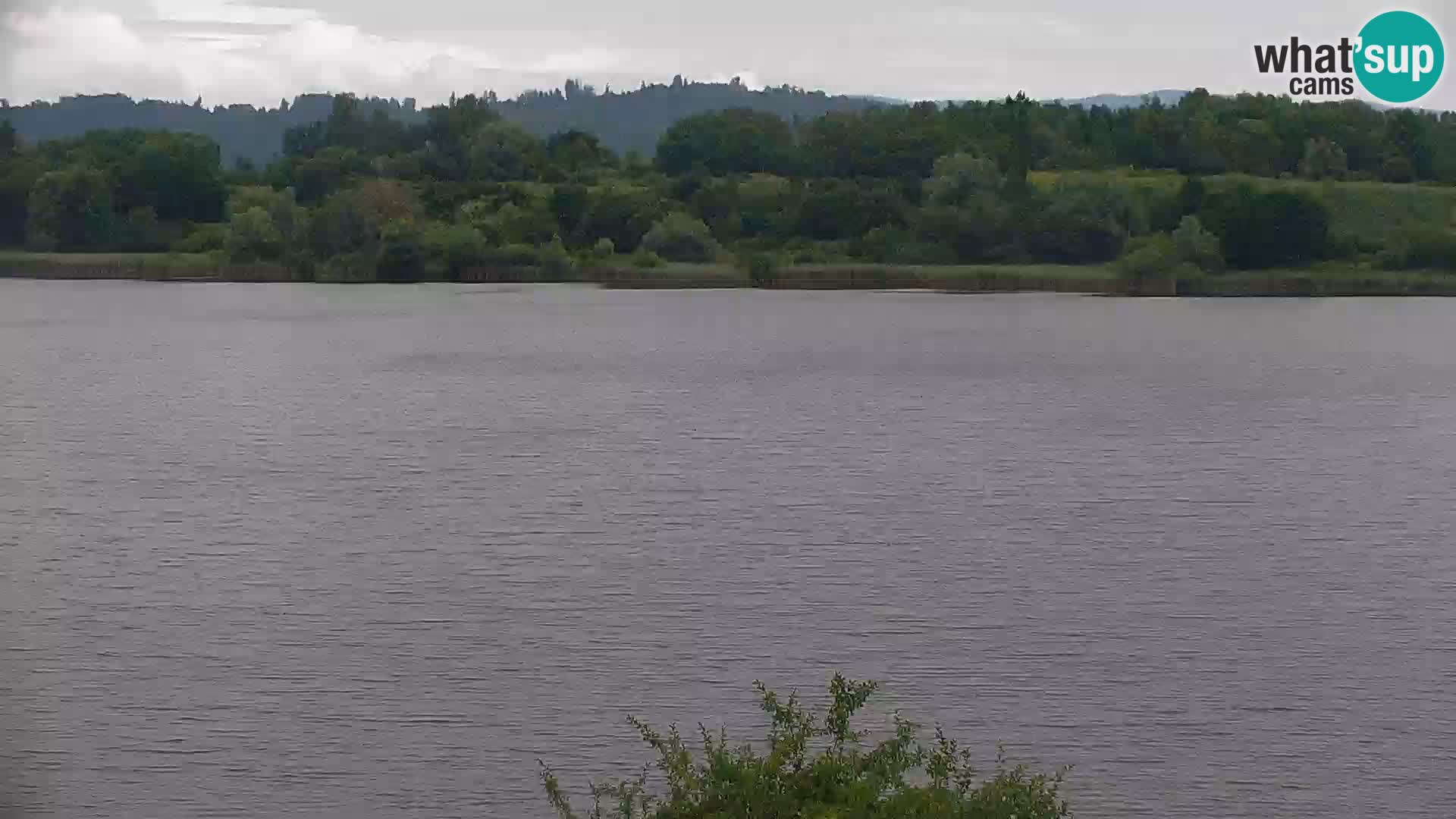 Live Webcam lago di Kočevje – Slovenia