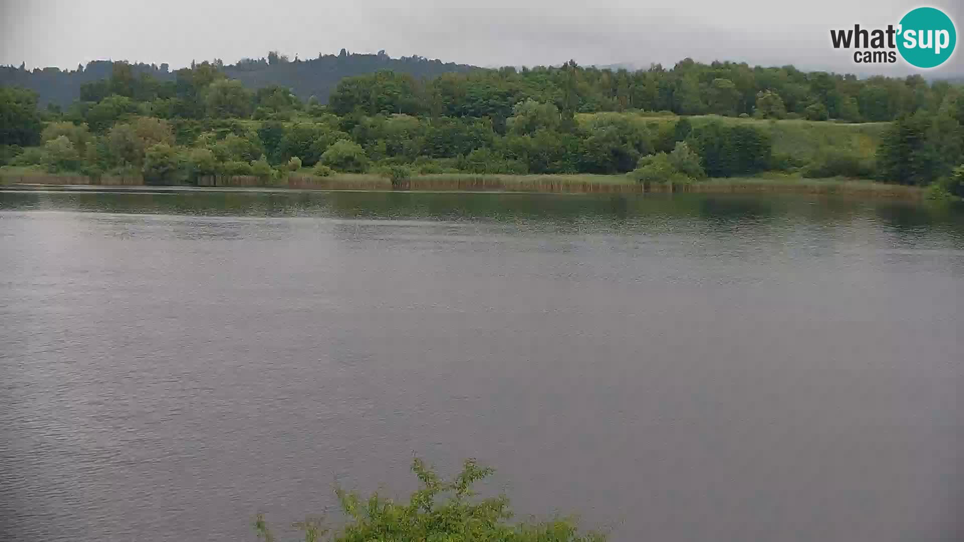 Camera en vivo Lago Kočevje