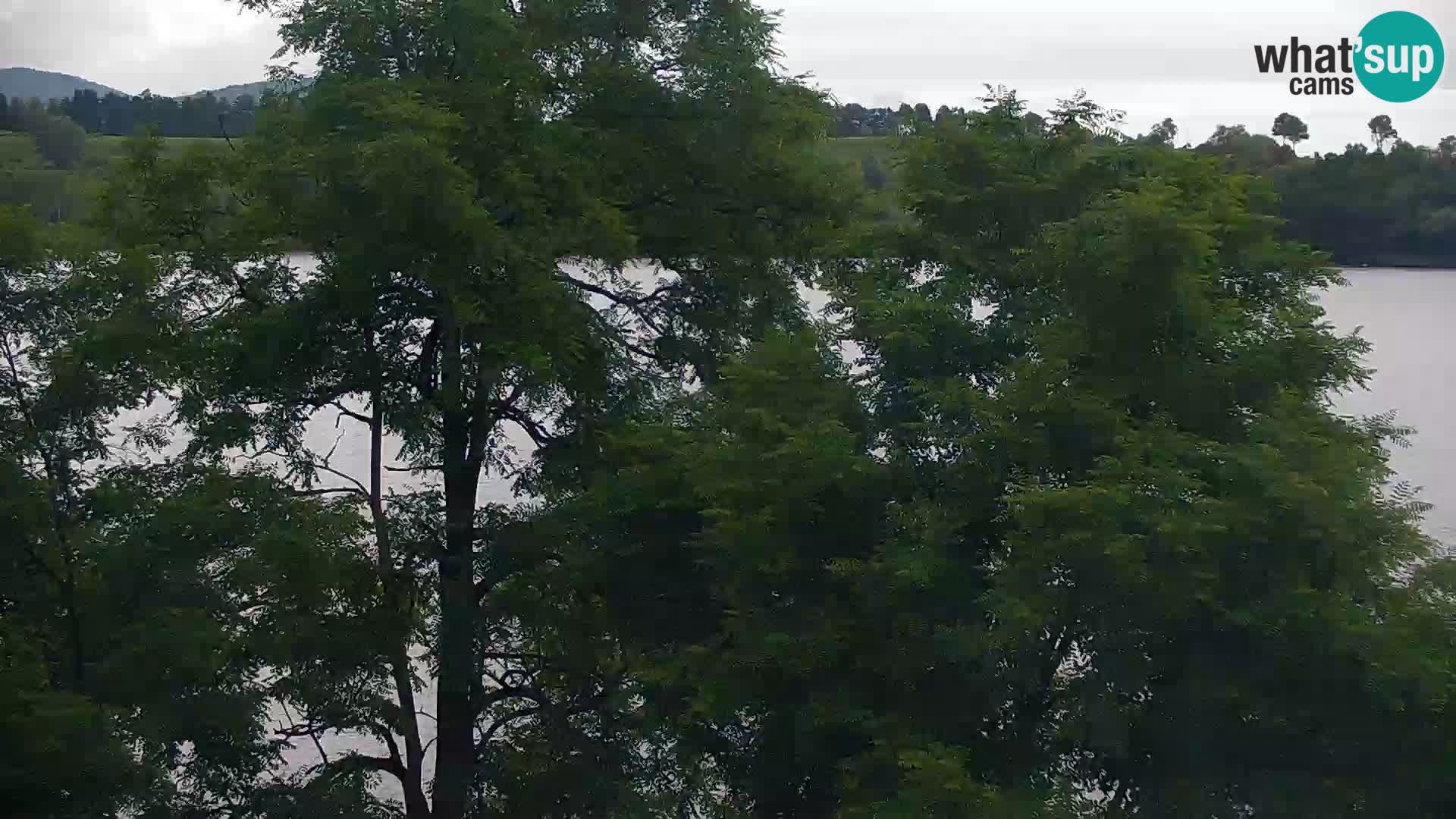 Camera en vivo Lago Kočevje