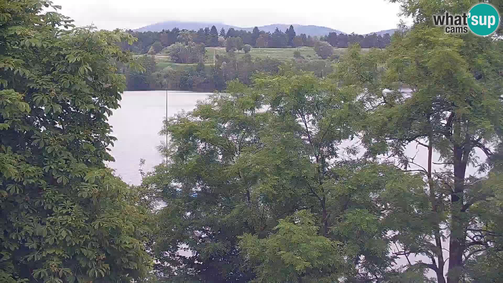 Livecam Lac Kočevje