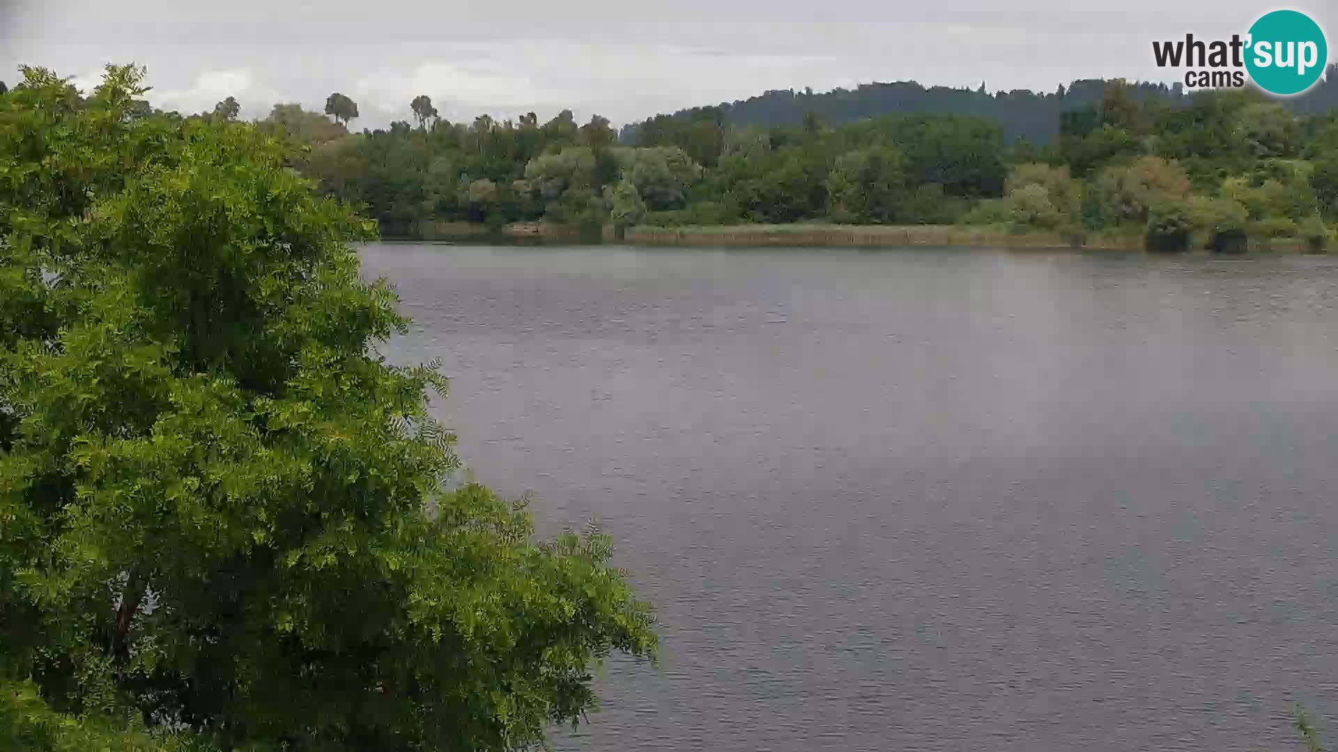 Live Webcam Kočevje-See – Slowenien
