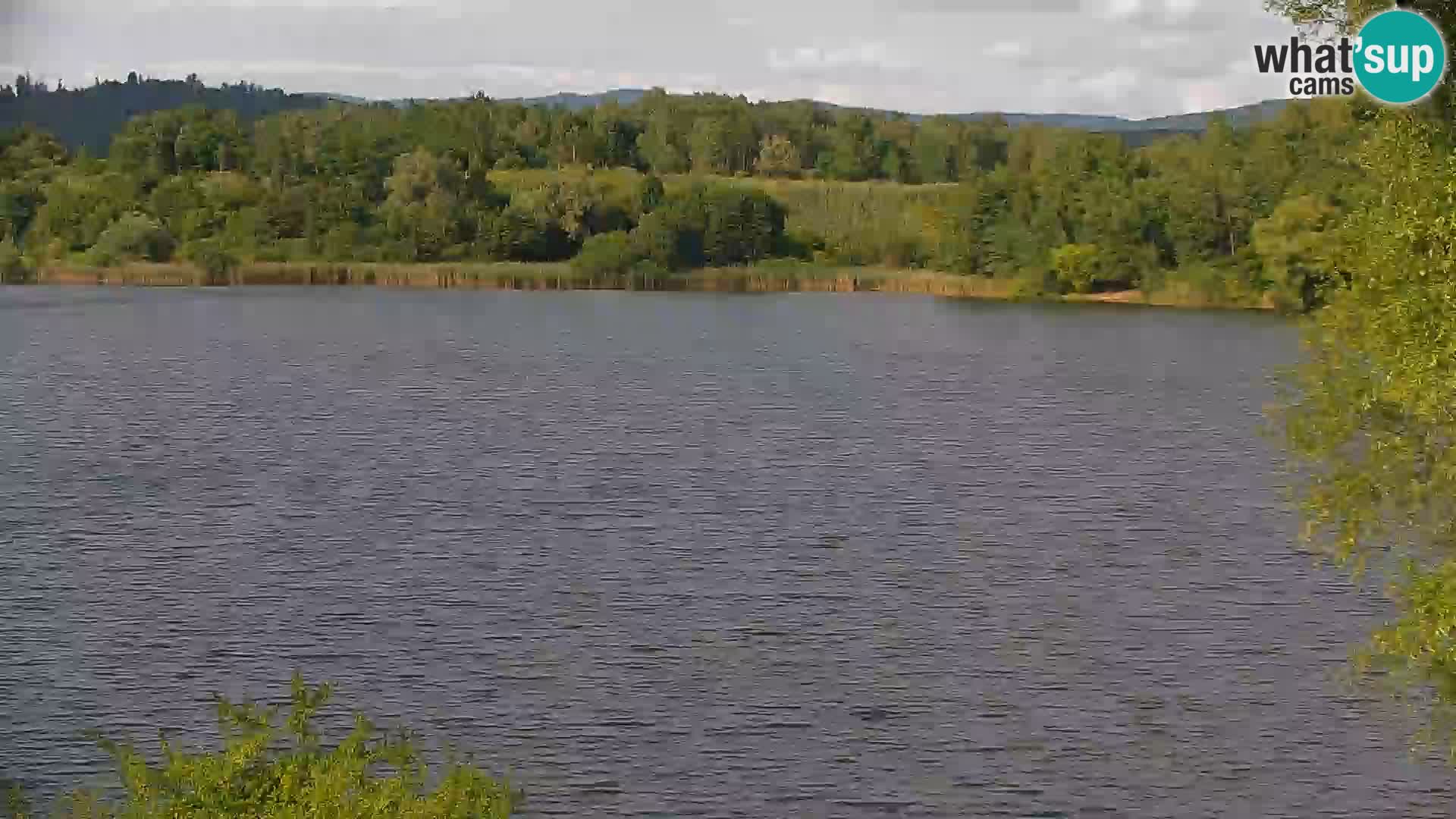 Live Webcam Kočevje-See – Slowenien