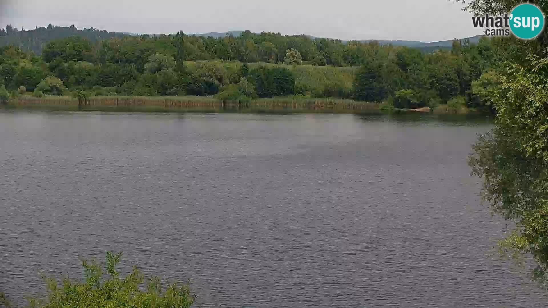 Kamera v živo Kočevsko jezero