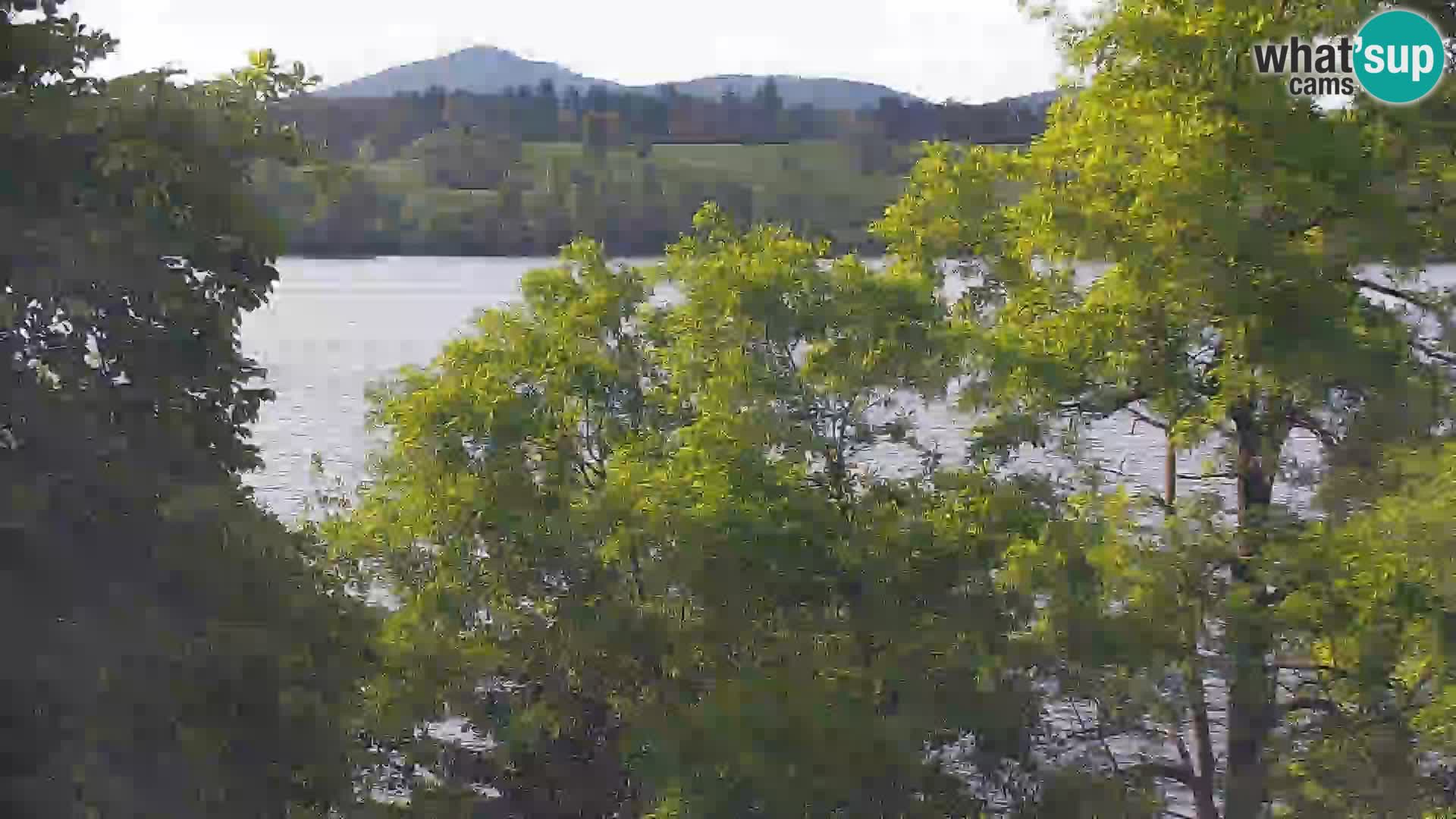 Livecam Lac Kočevje