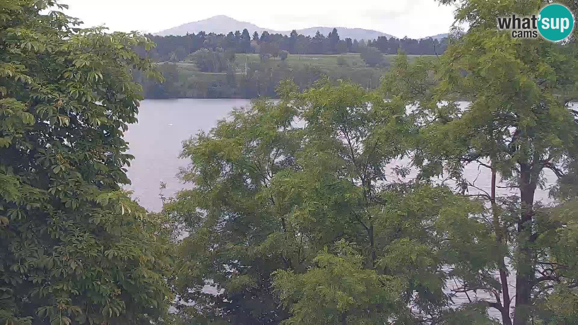 Live Webcam Kočevje lake
